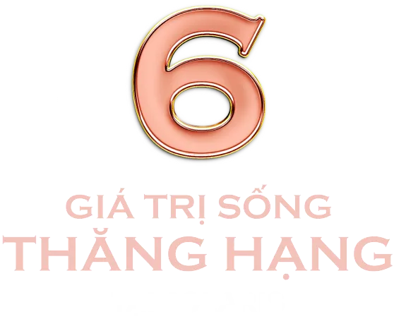 6 Lý do